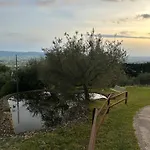 Modern Overlooking The Hills Of * Assisi