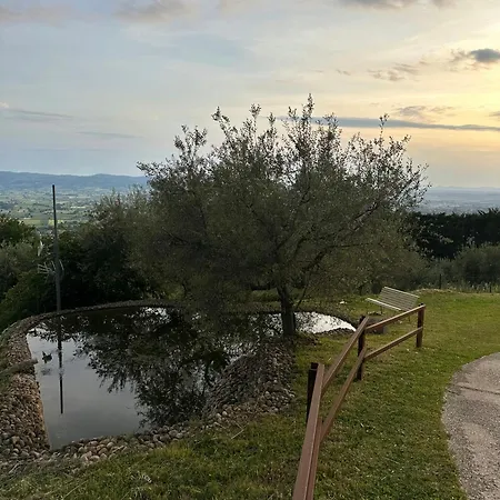 Modern Overlooking The Hills Of * アッシジ