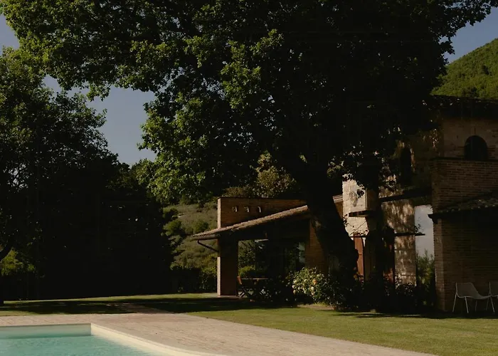 Modern Overlooking The Hills Of * Assisi